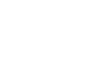 Inspección Rama Jarillal